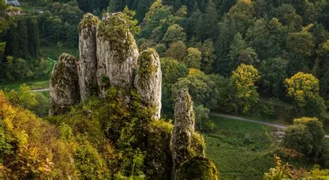 Park Zdziesławy - Zachwycająca Przyroda i Niezapomniane Krajobrazy!